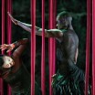 Gratis Inleiding Inside Out - Conny Janssen Danst