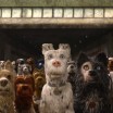Film: Isle Of Dogs - , De Bussel, Oosterhout