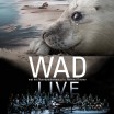 Wad Live - Noordpool Orkest En Natuurjournalist Rob Buiter